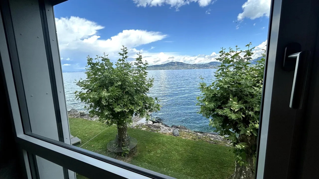 Genevard · location meublée d'exception au bord du Léman · 5